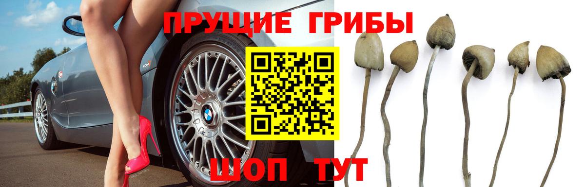 Кимры  Галлюциногенные грибы мухоморы  Вход с VPN 